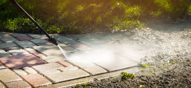 Animal Enclosure Cleaning in Broxton, GA